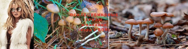 спайс Балабаново
