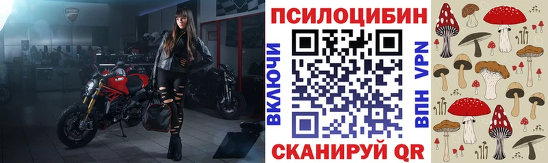 где найти наркотики  Валуйки  Псилоцибиновые грибы Psilocybine cubensis 